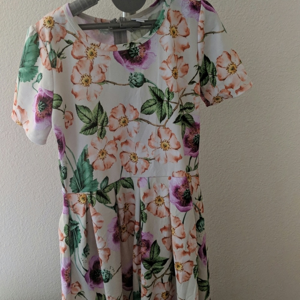 XL Lularoe Amelia
